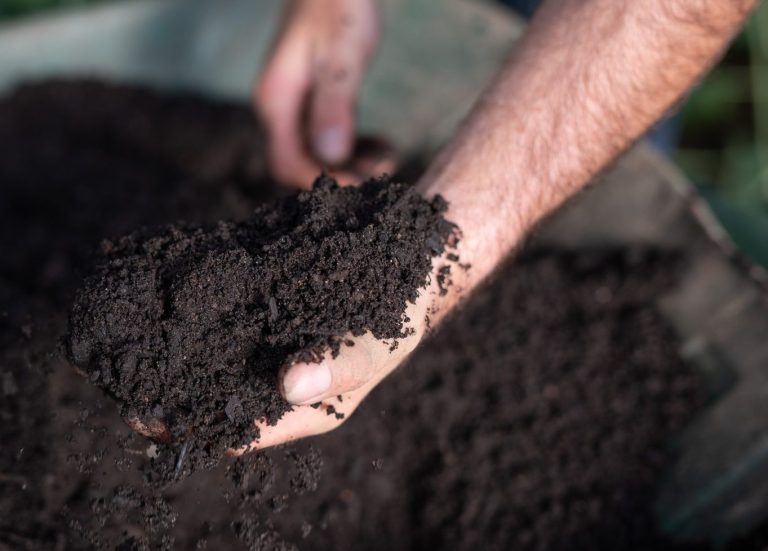 Compost normé prêt à l'emploi